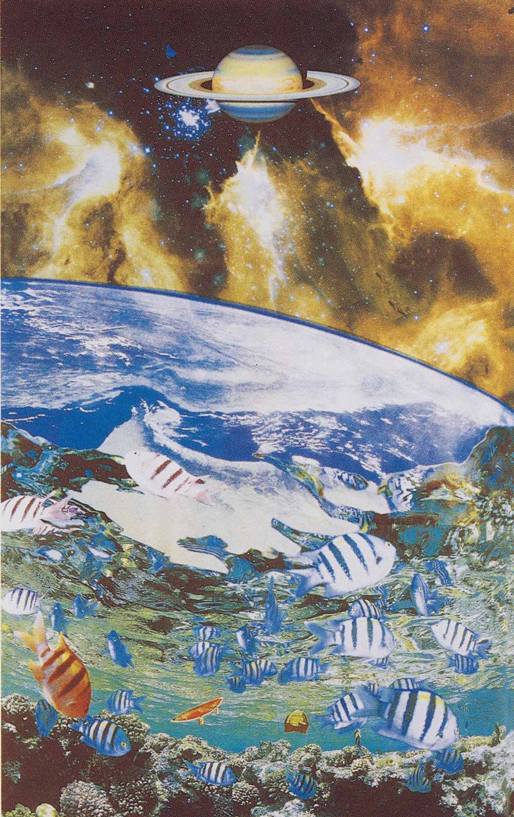 2001年制作 Planet of Ocean